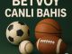 betvoy canlı bahis